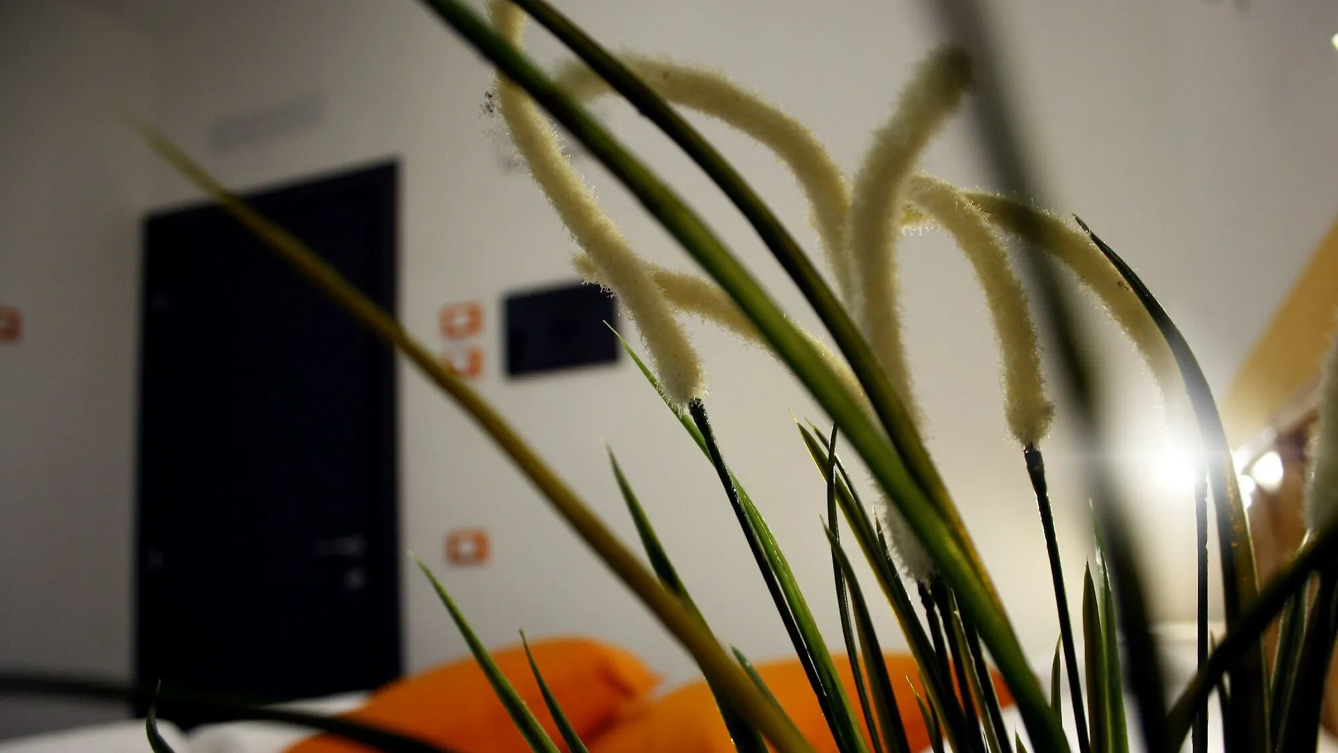 Guest house Elite 19 Hotel La Spezia