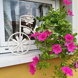 Mini-hôtel Del Golfo, La Spezia